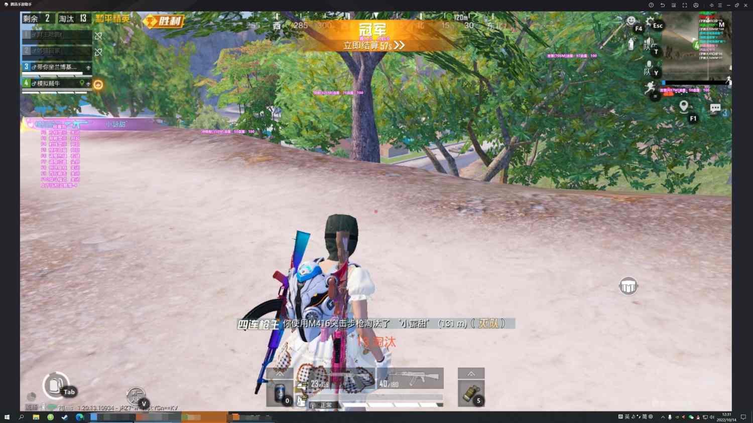 和平精英辅助得类型分为那些